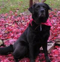 Allie Fall Picture cropped